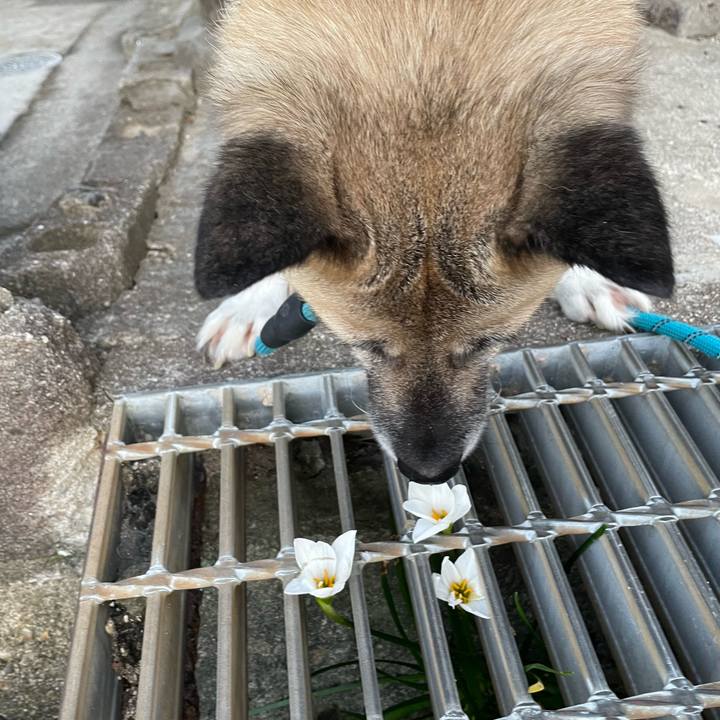 Ffbda0a7 ab99 4632 81ed 594213fadd0e 1694521017849