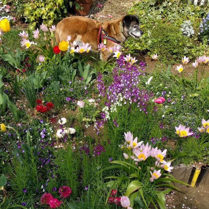 Ffbdde00 8c20 4e49 8c71 e01d70229ea0 1522717813586