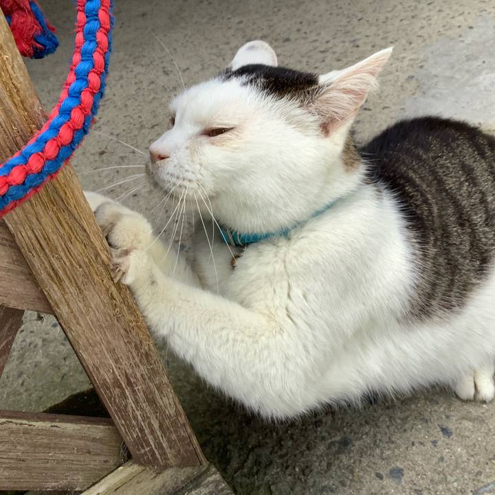 Ffbde1ad c67f 4c3c 9012 119a878aa13c 1623843825841