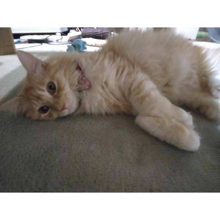 Ffbdfb21 1faa 4814 8cf9 90cf6e3d8451 1692959117001