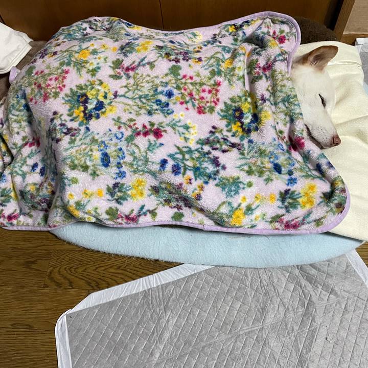 Ffbe2f09 2488 499c b474 be6689eda8de 1635134016165