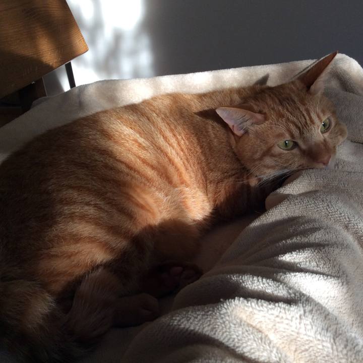 Ffbe4071 d047 411a b599 a1dffaa23aa1 1510354659518