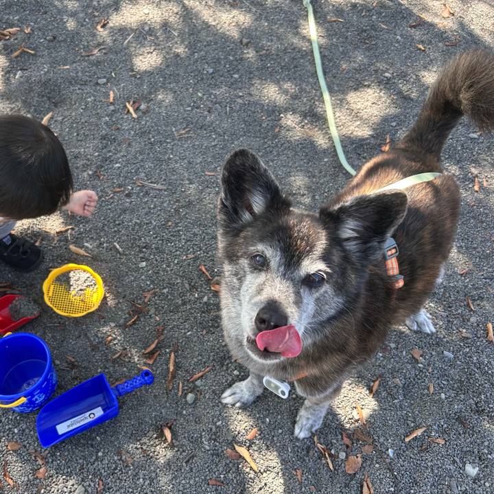 Ffbe6ef5 8cf7 49b8 8171 e7b231c09337 1760967815492