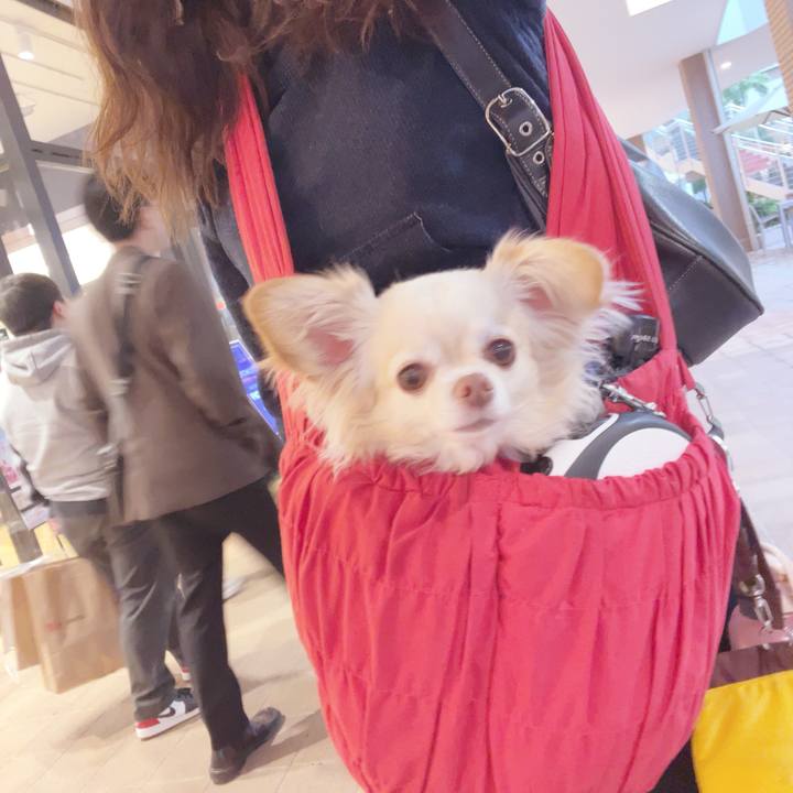 Ffbe862b 3075 4ed1 87fd d7aa8f2680b5 1743246292165