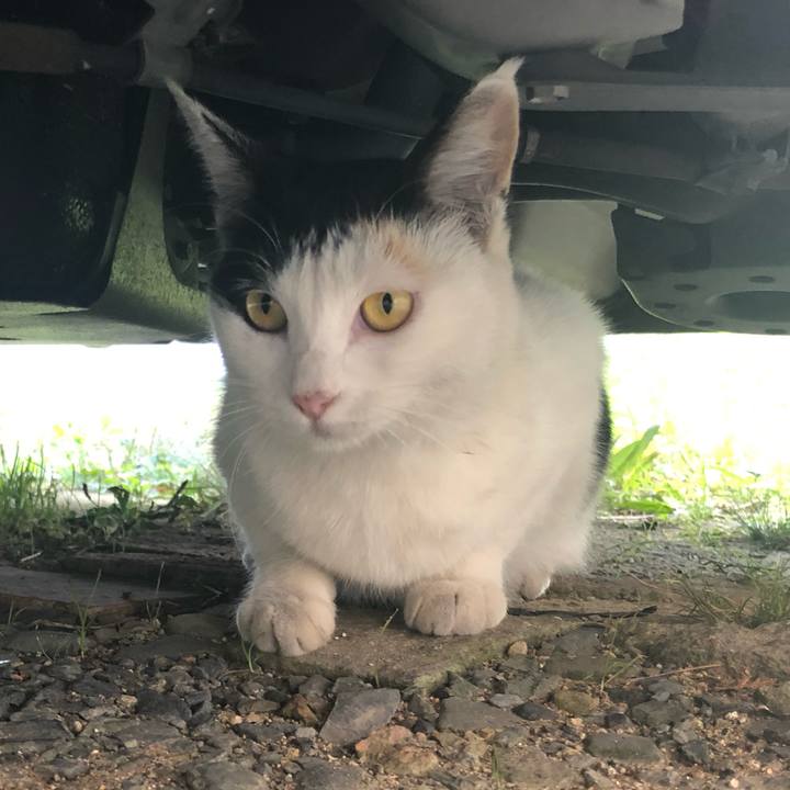 Ffbe9aa4 cdc8 4184 b52b 45ed3e9f4ed7 1602022514735