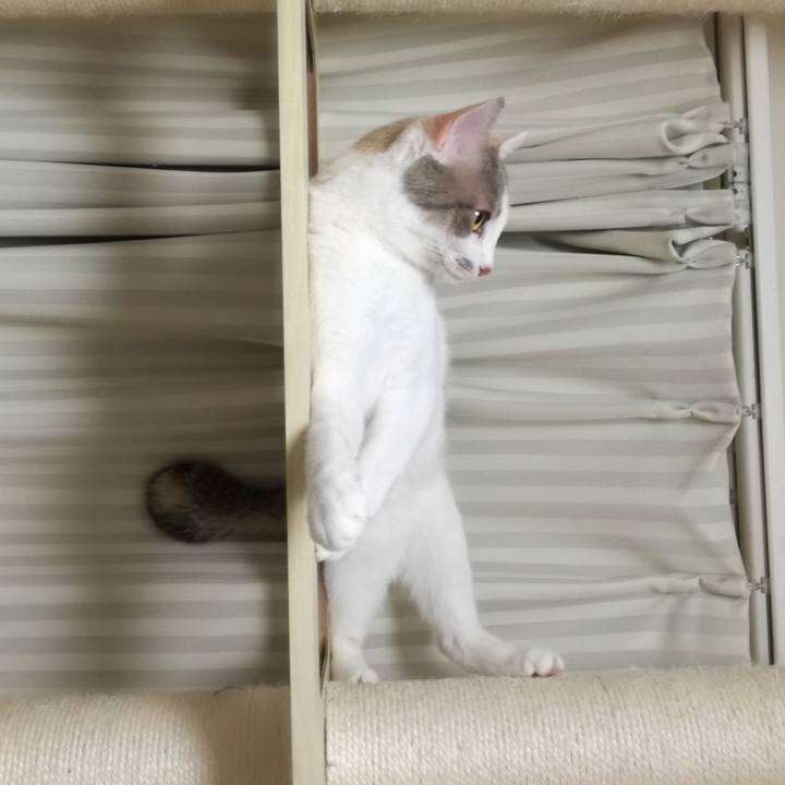 Ffbebf3a 66e1 4be5 b27d 4efd137b9272 1552532684658