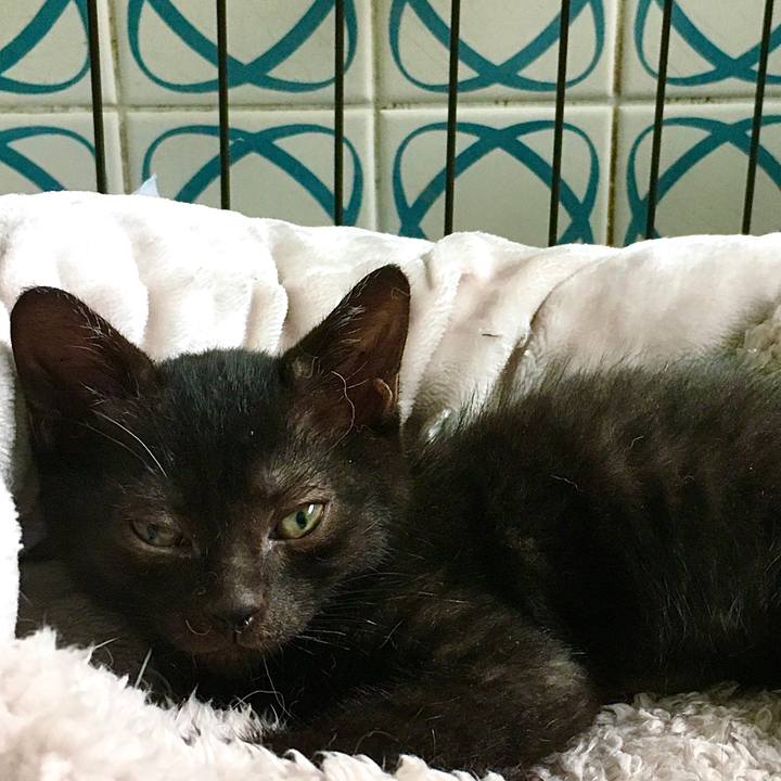 Ffbedbb7 3e27 4b7e b51d cc09233add24 1624575199682