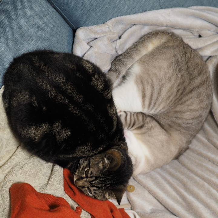 Ffbf5534 5eee 449e b79c efbf3b6ea356 1651241531374