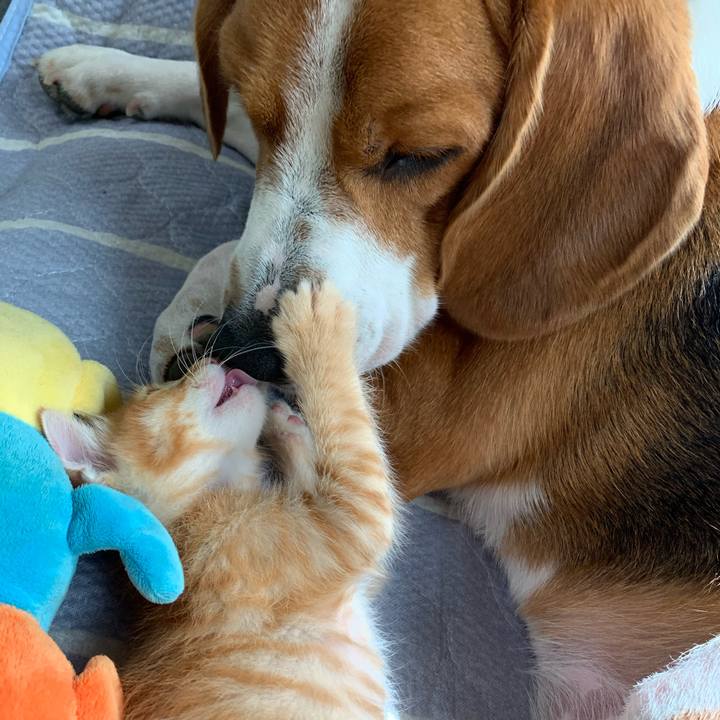 Ffbf7070 d770 4f4d 960c 06f2a368c70f 1571452917213