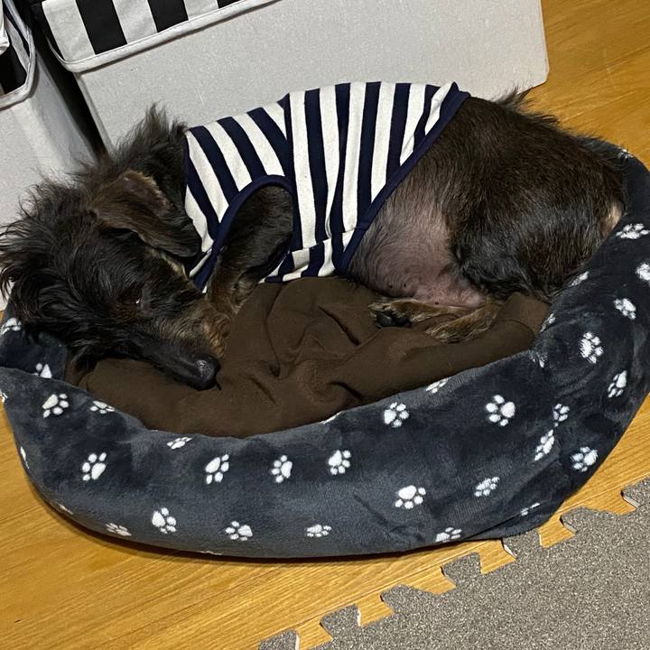 Ffbf9a1c b907 4b19 a148 aad37810366c 1577640451865