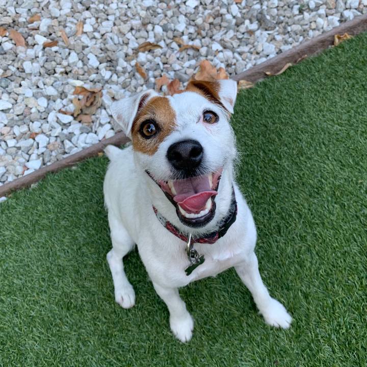 Ffbfba68 ad24 42b0 a0b5 566220f025ab 1564366856655