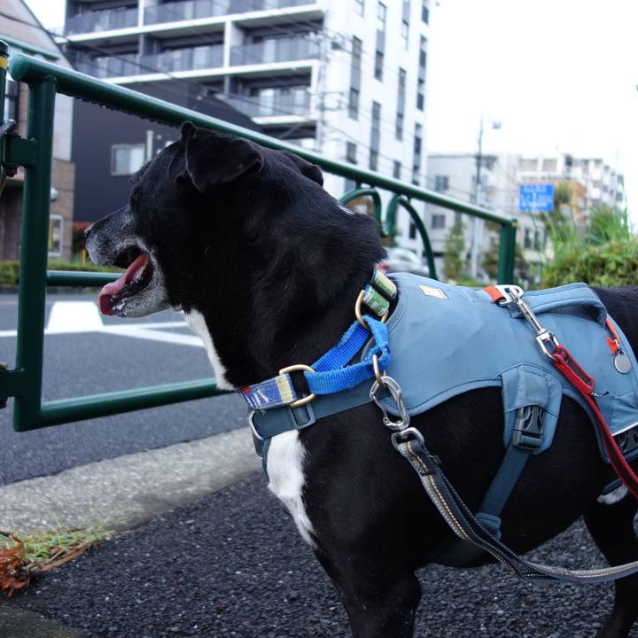 Ffbfbe02 30dc 4bc2 a48f 4850b7f4deb5 1728001622788