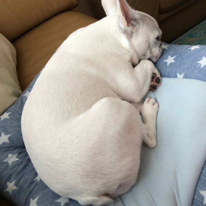 Ffbfe777 43a5 4d41 9974 f80b8e9ed6e6 1536484229723