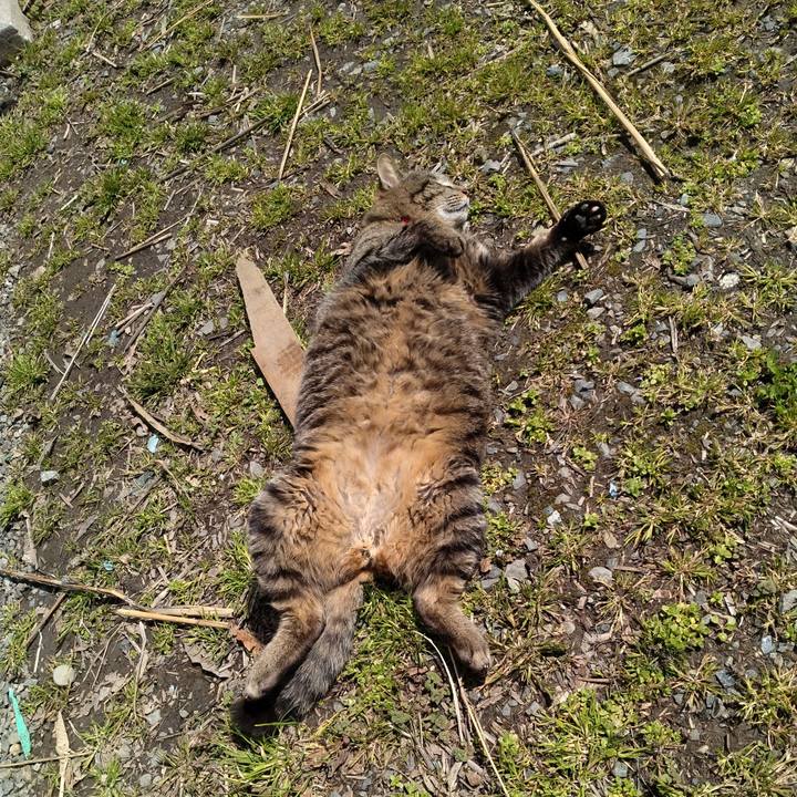 Ffbfeaf2 ad02 422f 8721 c9263f9466e7 1679970926027