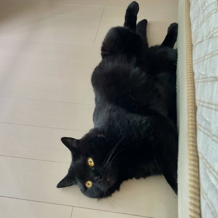 Ffbff92d ae36 4984 a41c 47130c7ca3e5 1623544266186