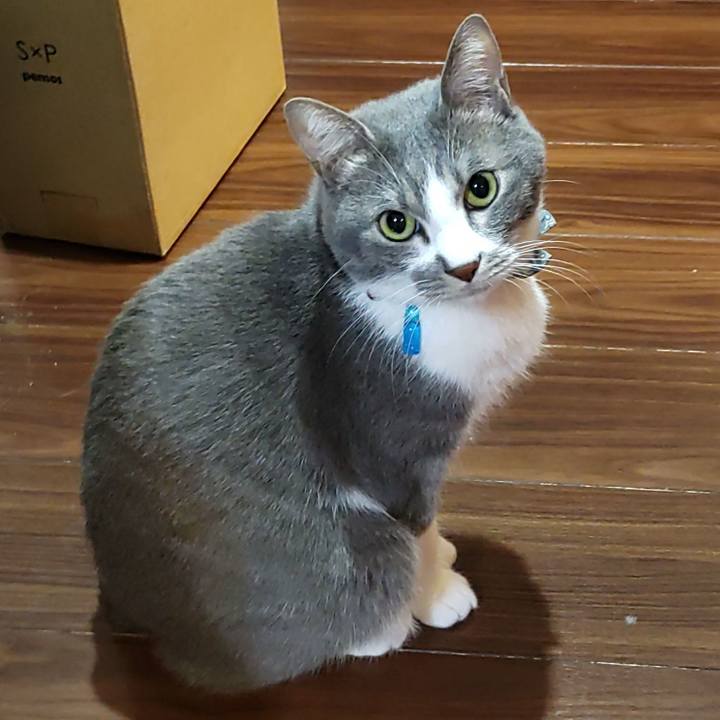 Ffc00292 8f22 4f68 a7e4 8d6fa8f00f6c 1703477504774