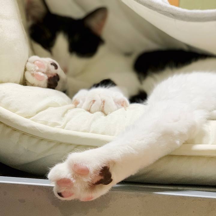 Ffc02414 fc22 4aee 8d37 8315d11e2d9b 1551838312456