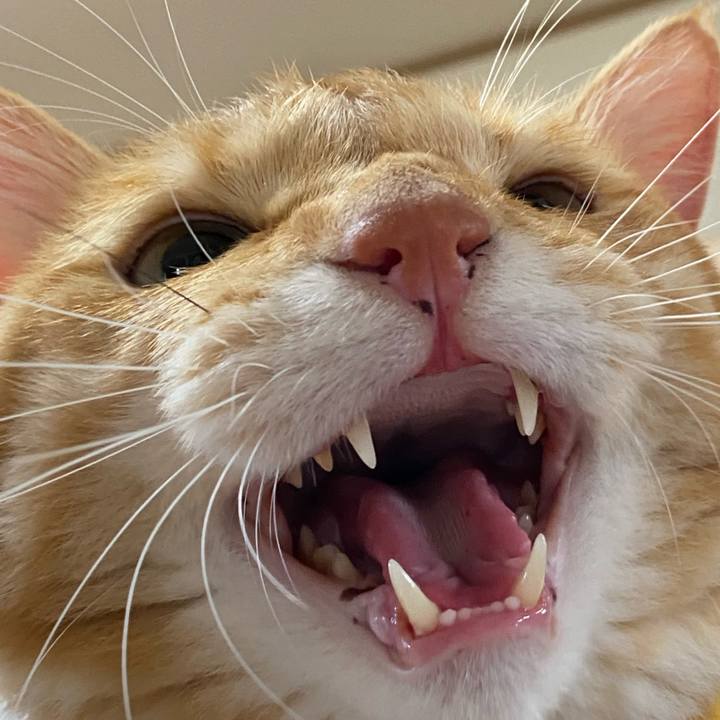 Ffc03b3f 9c57 49da 936f 55b4fdb008d9 1669215932458