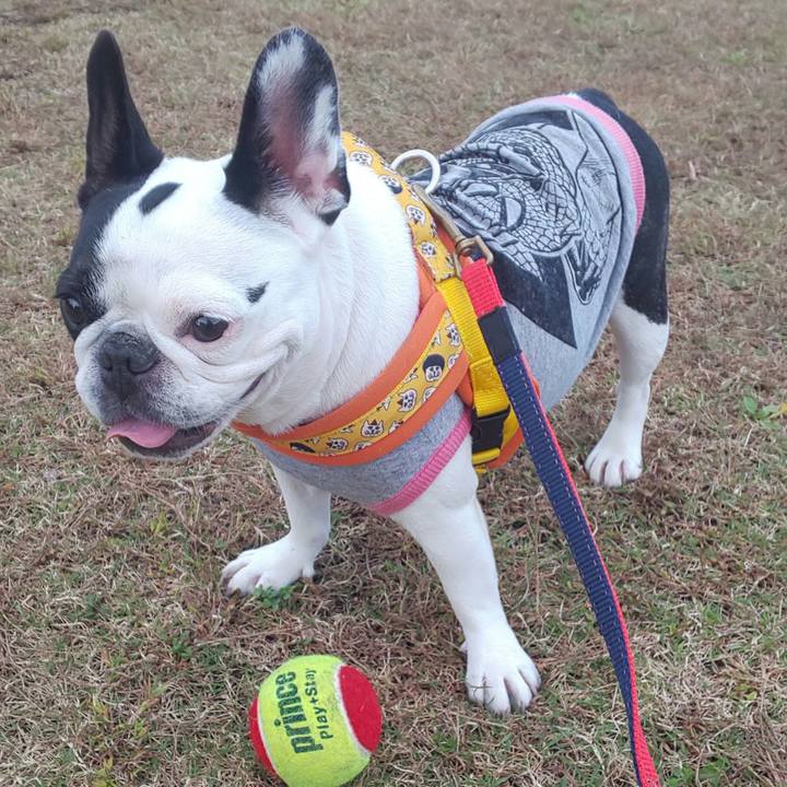 Ffc06ce5 d18f 4734 a215 ea9b2fe8ba7d 1572168880340