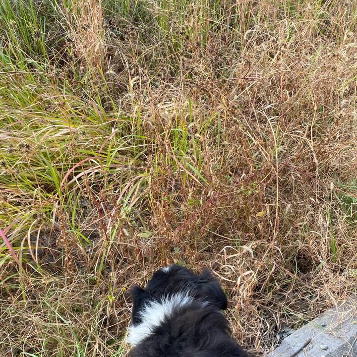 Ffc0a416 c52e 4f9e 99f1 b1ac48fa4fa7 1669505274490