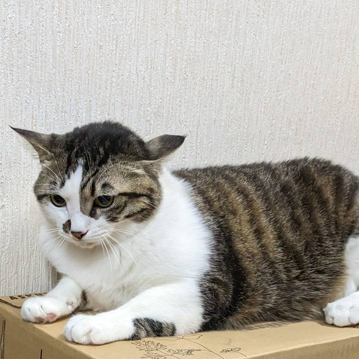 Ffc0bc18 9bf5 4e12 a76a 863cf352f4b7 1675255509243