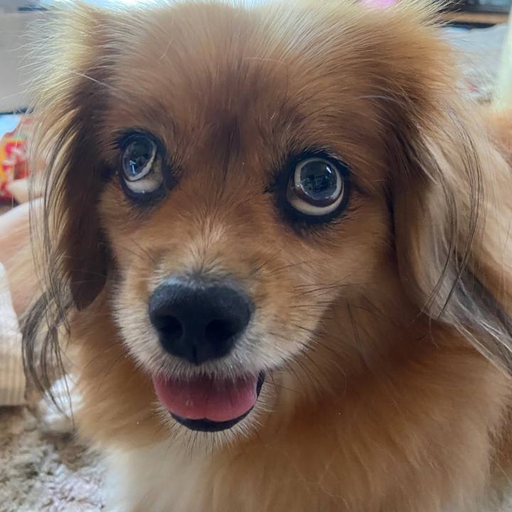 Ffc0e137 4b8f 4bfc 9570 551ff96f8055 1658531389185