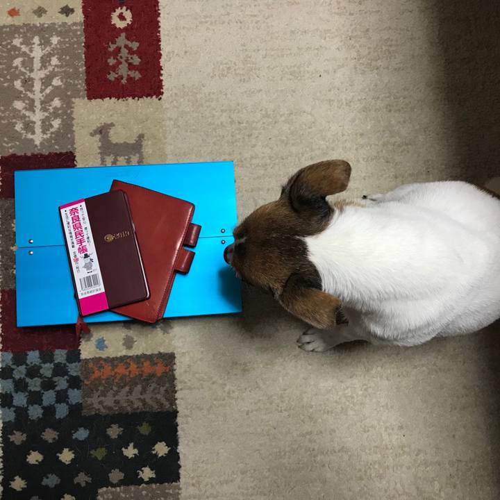 Ffc1138a d5cf 4e35 b022 70668f7f31ff 1540041612810