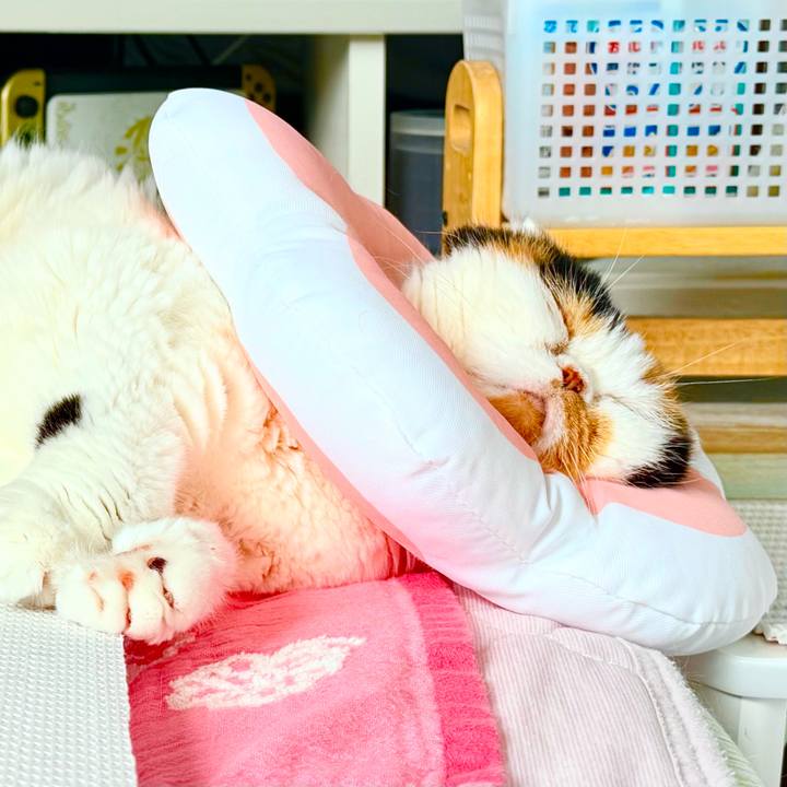 Ffc15ce9 6171 43d0 9b88 1b1f56a1e49b 1738816295031