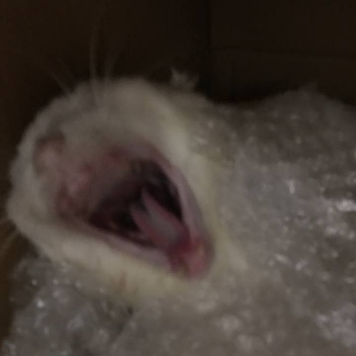 Ffc1a672 ecbe 4b4e aa09 c2c8eaa7335e 1562507827216