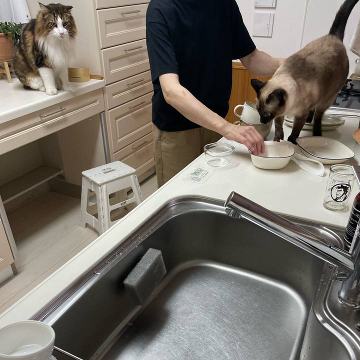 Ffc1bbb9 87bc 4faf 9714 742eec7d6a91 1759521210266