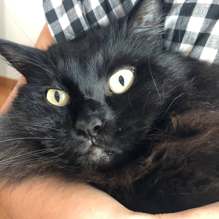 Ffc1fb1e 9703 400e a58c 9e5f3d2ed2c6 1548842361374