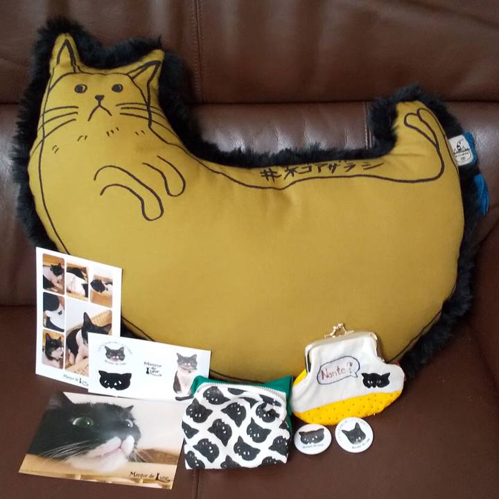 Ffc20fea 4508 4a54 a9af a1f41170b245 1574144016390