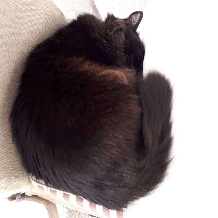 Ffc21f9a 847f 40d1 9da2 56df595e2a63 1518067271790