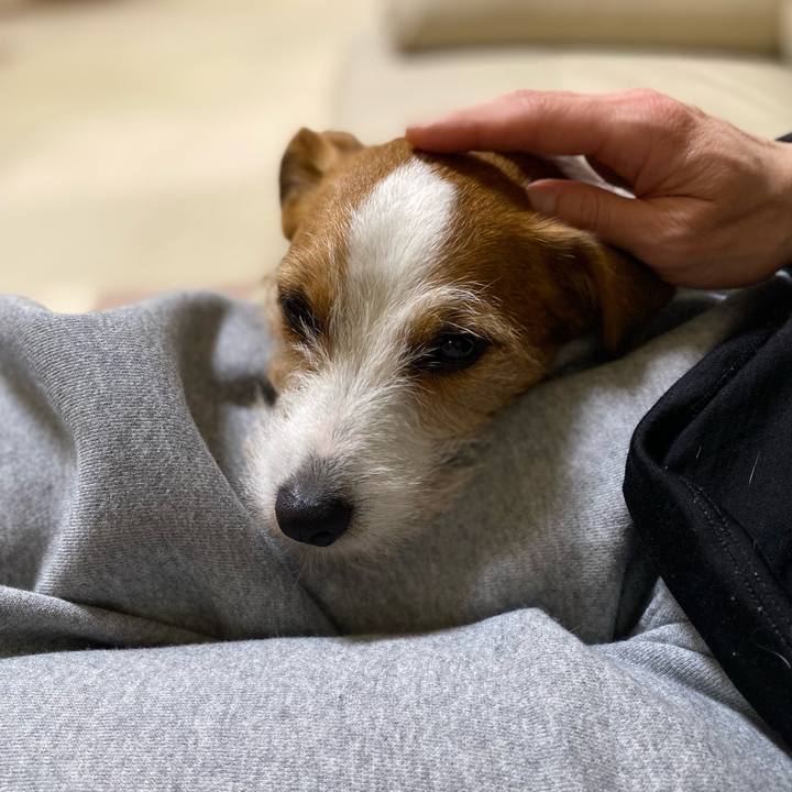 Ffc2217d b0d6 46bc 8ae4 46b444812c6f 1775309866880