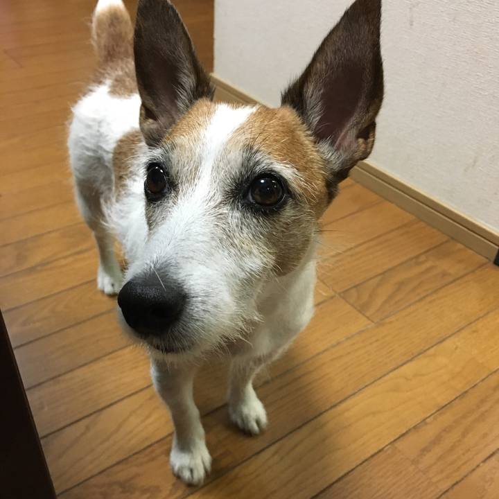 Ffc221d7 1955 4652 8cb4 d75a5d14a121 1626218986413