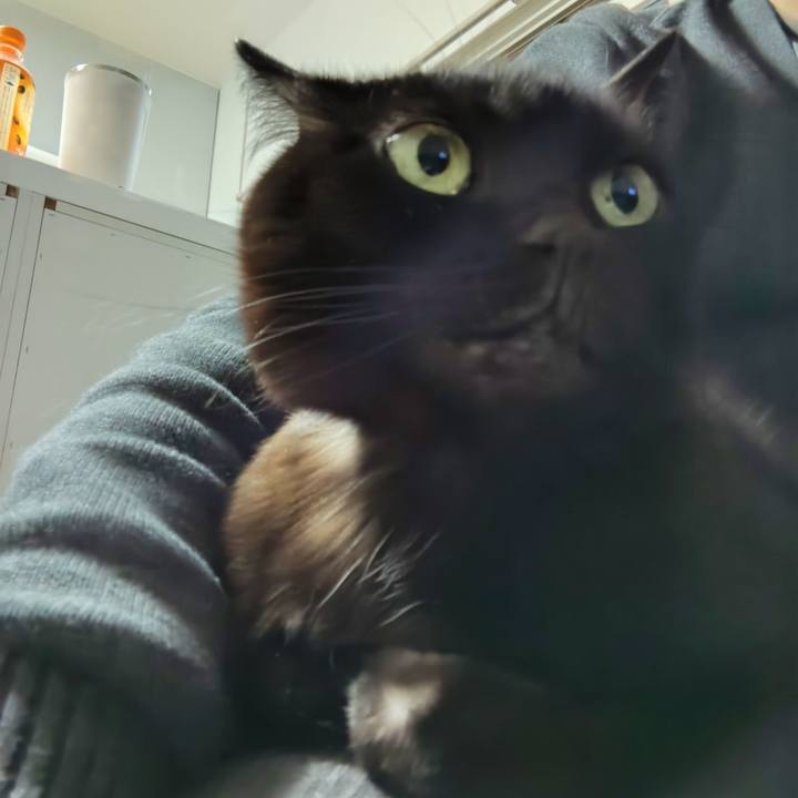 Ffc24474 bc54 43f3 8165 09ff3ad85055 1736420991710