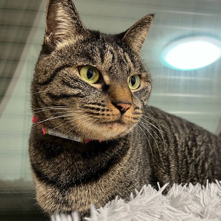 Ffc26e59 71a9 4b45 88e6 d9a13887c265 1764935778688