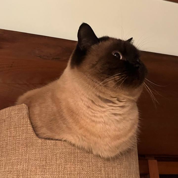 Ffc27e4e ec69 4b0c 9613 6505687dbfd2 1645149579821