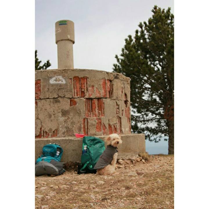 Ffc28984 e028 4a87 9fa1 e676be6c4f85 1556469392498