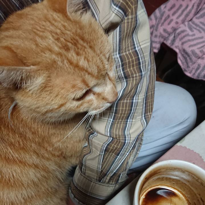 Ffc2a744 cb9e 47d5 b6a9 c8fced07a168 1590270320754