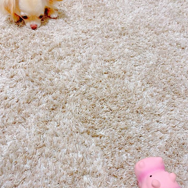 Ffc2c384 bcb5 498d bb57 f2cbb1a0f5cd 1625017755853