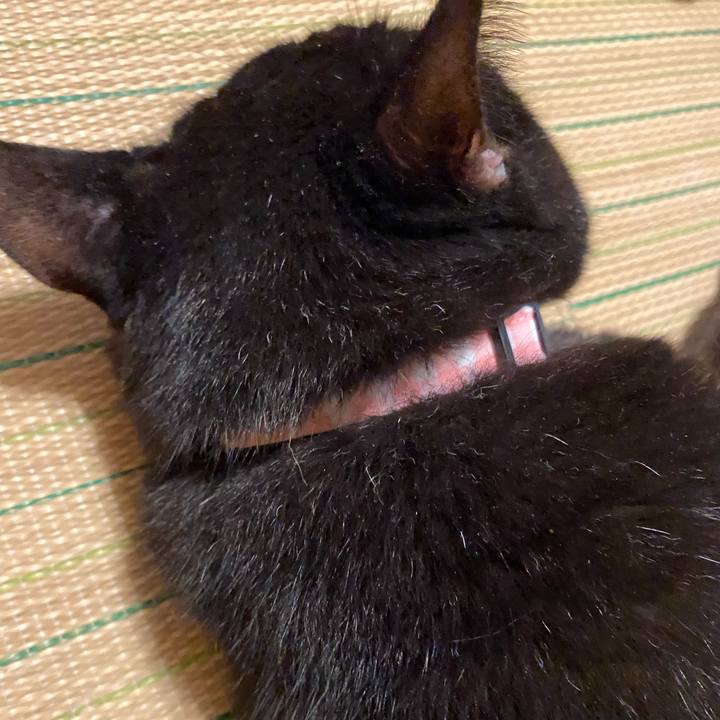 Ffc2cd23 daab 43e5 8d77 f75d23dd6727 1630321274755