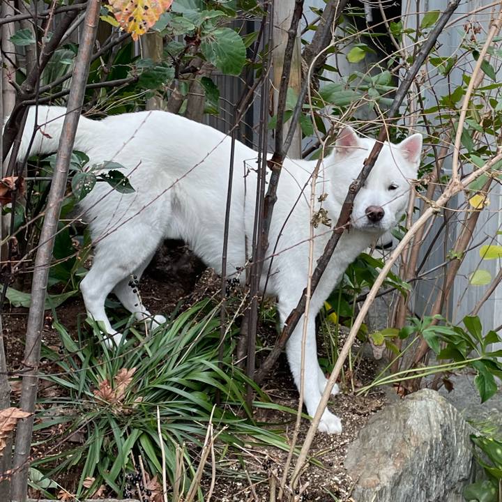 Ffc31126 2201 45c4 9374 3c4b8ac74727 1639807510297