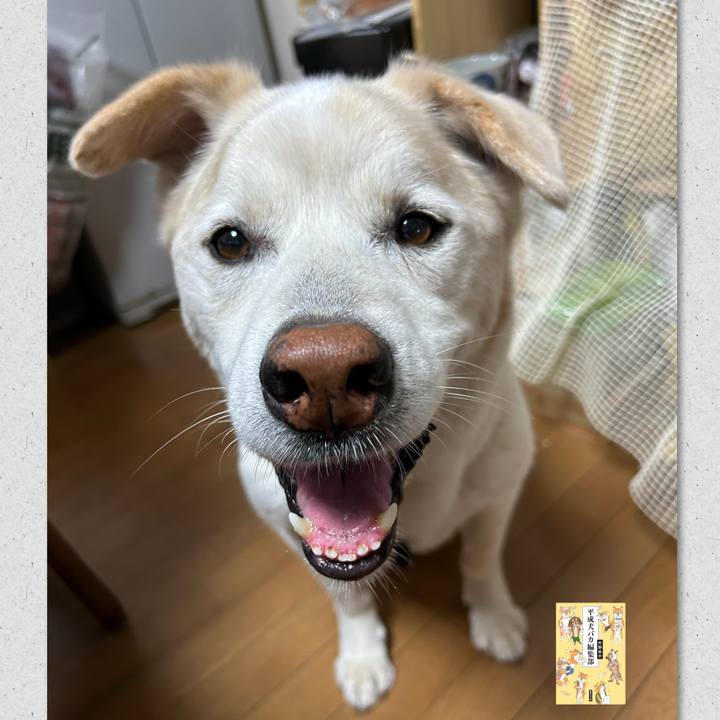 Ffc338bb fd03 427a 83a8 afbd5a28d194 1748488572753