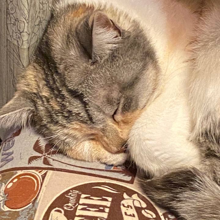 Ffc360bd 2fa4 4f58 aad8 c972ea897b4d 1586712443000