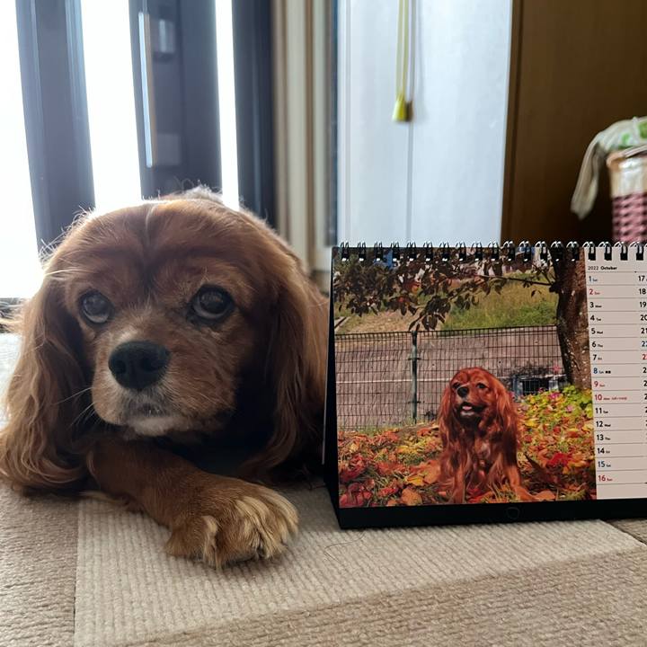 Ffc3b36c 61be 4753 b33e 11b7051180fc 1664580148772