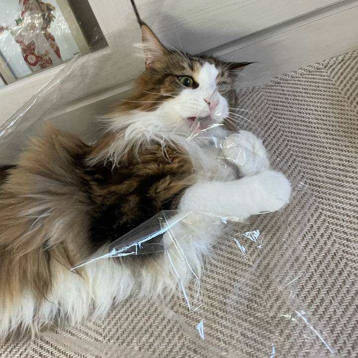 Ffc3d05a d8a1 4016 8c18 239bfff3db0d 1677793255159