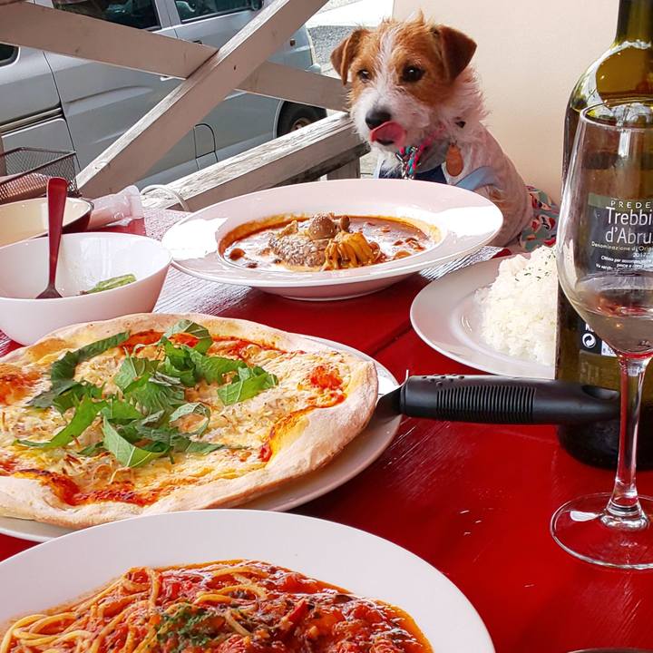 Ffc3f656 9488 4685 a6ad 070a807730ef 1561278539695