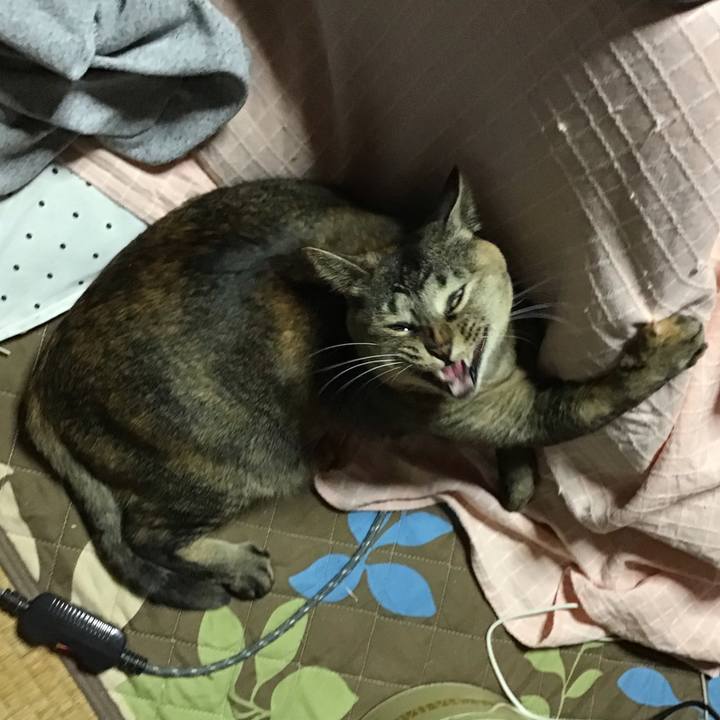 Ffc431f9 c4e4 4efb 9591 92dac2b3c36d 1673010215637