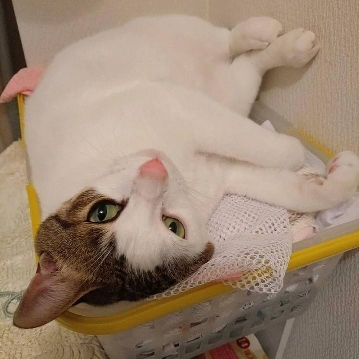 Ffc4d104 008a 4b62 82be 5afd6876839c 1726147252951